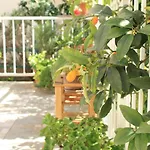 Garden House Vodice