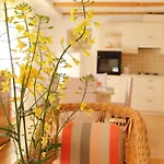 Apartment Garden House