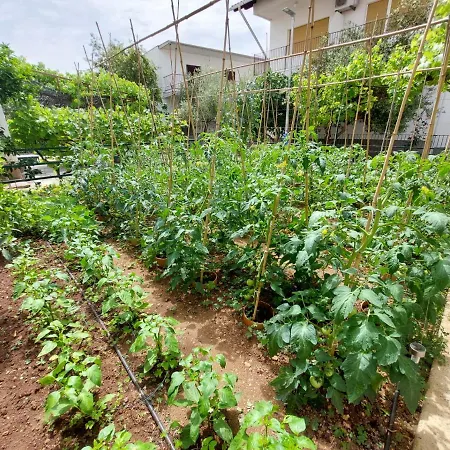 Apartment Garden House Vodice