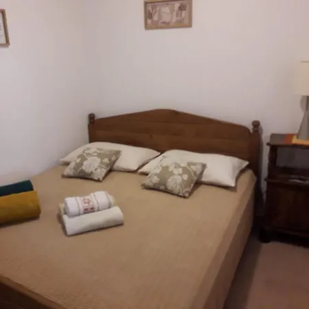 Apartment Garden House