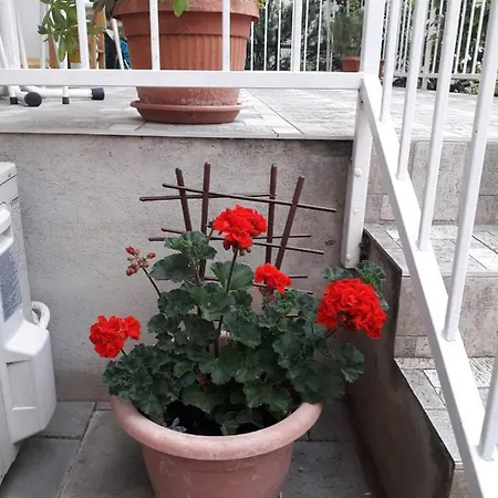 Garden House *