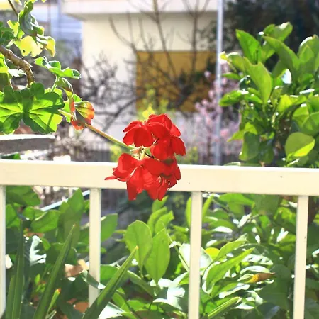 Apartmán Garden House