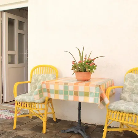 公寓 Garden House *