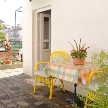 Garden House 公寓 沃迪切