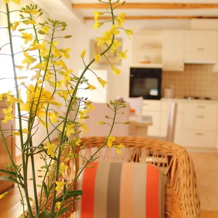 公寓 Garden House