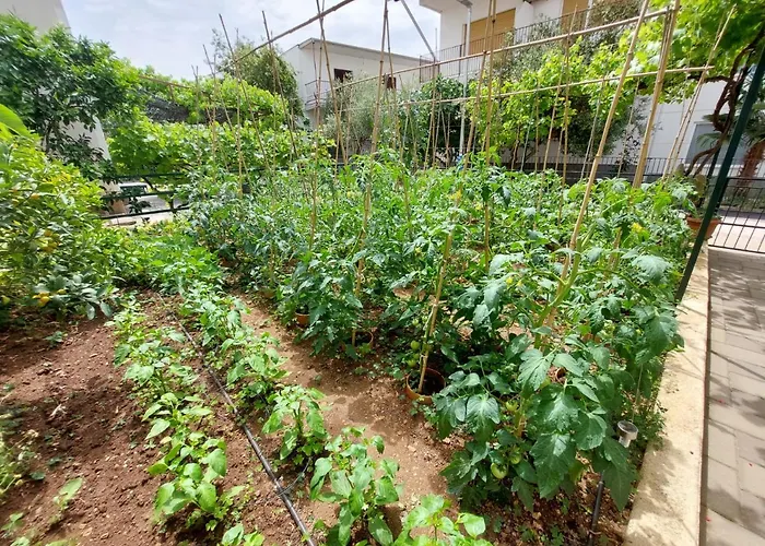 Appartamento Garden House Vodice