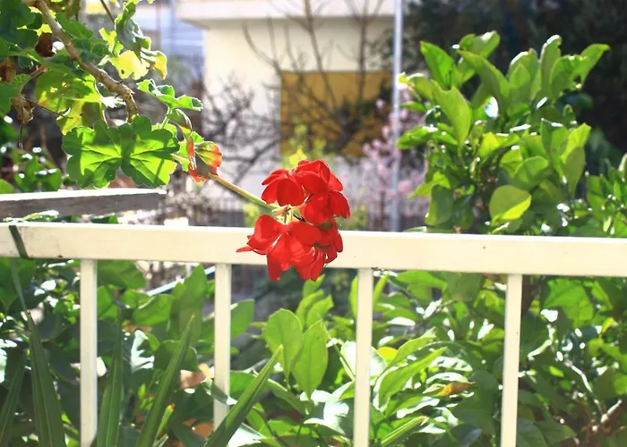 Apartment Garden House