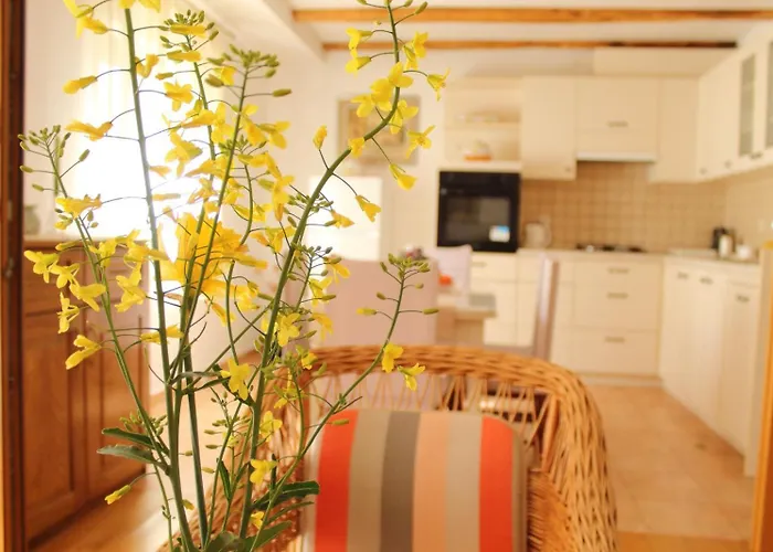 Apartman Garden House
